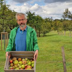 Leckeres Obst von den Bensberger Obstwiesen