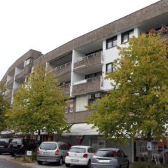 Kein „Neudenken“ bei den Bäumen….