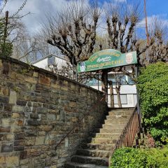 Irish Pub erfreute mit Wohnzimmer-Atmosphäre