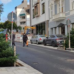 Tannenbäume sorgen für Weihnachtsstimmung in der Schloßstraße