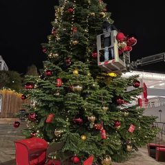 Der Bensberger Weihnachtsbaum ist da! 🎄 Lasst die Adventszeit beginnen!