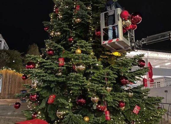 Der Bensberger Weihnachtsbaum ist da! 🎄 Lasst die Adventszeit beginnen!